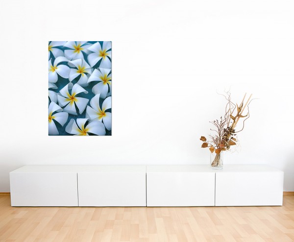 120x60cm Plumeria Blüte Blume Wasser exotisch