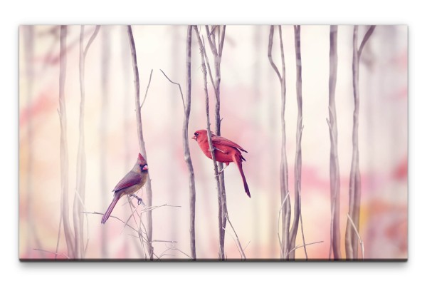Bilder XXL Rote Vögel Wandbild auf Leinwand