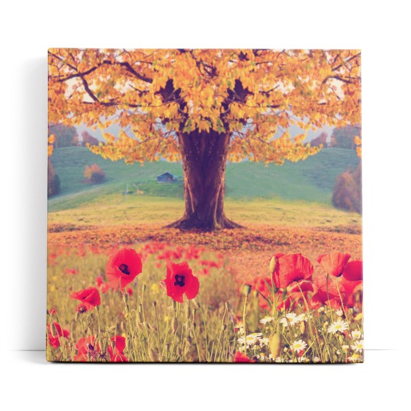 Baum Eiche Rote Blumen Blüten Sommer Natur Wildblumen