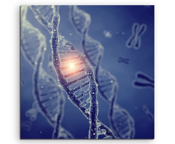 Medizinische Abbildung DNA Doppelhelix Moleküle mit Chromosomen auf Leinwand exklusives Wandbild m