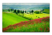 Bilder XXL Rote Blumen der Toskana Wandbild auf Leinwand