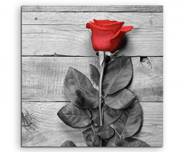 Künstlerische Fotografie – Rote Rose mit grauem Hintergrund auf Leinwand