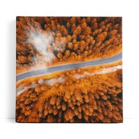 Luftaufnahme Wald Straße Bäume rot Herbst