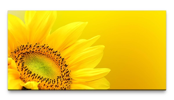 Bilder XXL große Sonnenblumenblüte 50x100cm Wandbild auf Leinwand