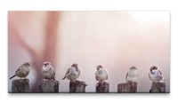 Bilder XXL Vögel auf Holzstämmen 50x100cm Wandbild auf Leinwand