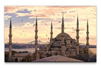 Bilder XXL Istanbul mit Vögeln Wandbild auf Leinwand