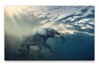 Bilder XXL Schwimmender Elefant Wandbild auf Leinwand