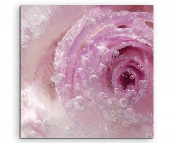 Künstlerische Fotografie  Eingefrorene rosa Rose auf Leinwand exklusives Wandbild moderne Fotografi