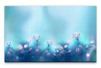 Bilder XXL Zarte pinke Blüten Wandbild auf Leinwand