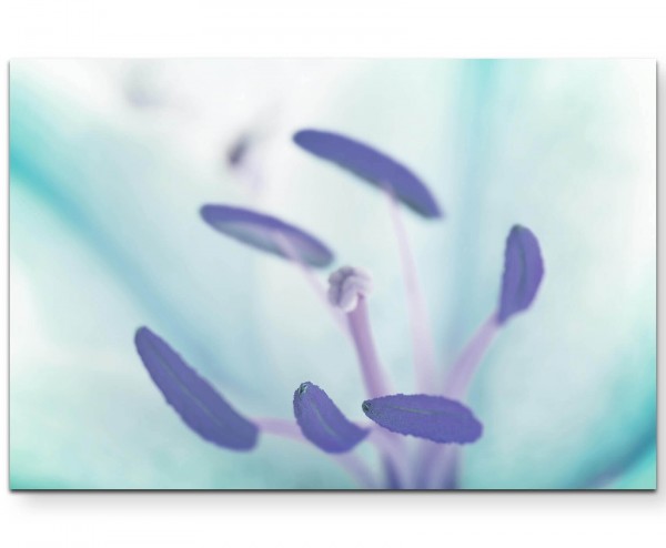 Staubgriffel einer Blüte - Leinwandbild