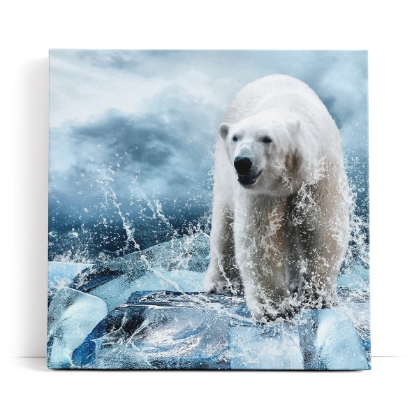Eisbär Eis Wild Fotokunst Blau Ausdrucksstark Wasser