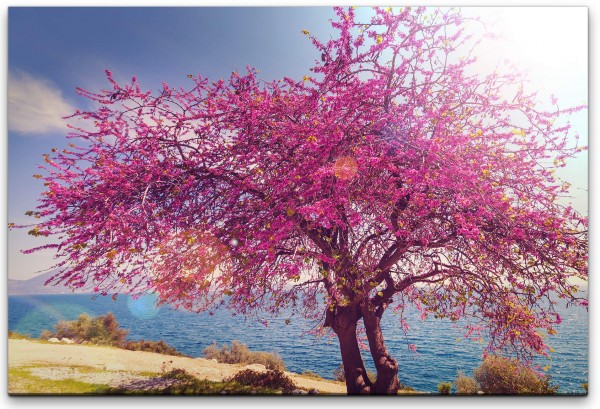 blühender Baum Wandbild in verschiedenen Größen