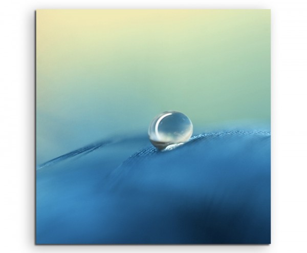 Naturfotografie Blaue Blüte mit Tautropfen auf Leinwand exklusives Wandbild moderne Fotografie für