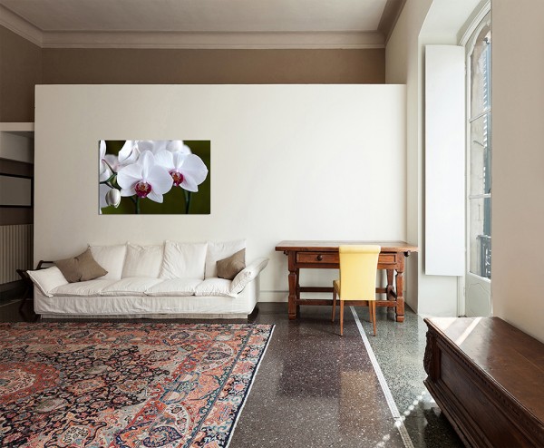 120x80cm Orchidee Blüte Blume weiß