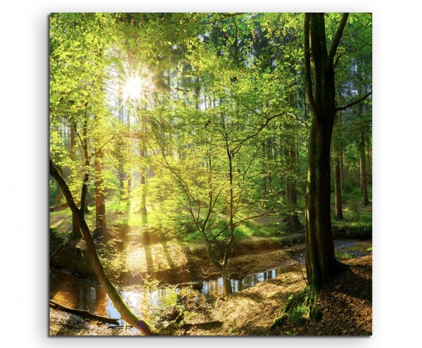 Landschaftsfotografie  Waldbach in der Sonne auf Leinwand exklusives Wandbild moderne Fotografie fü