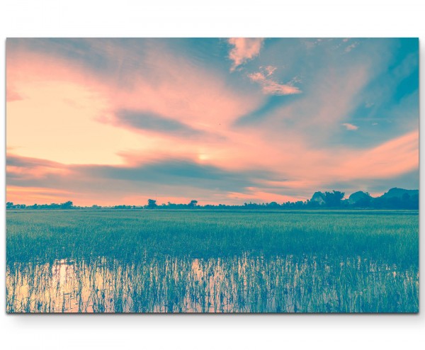 Reisfeld im Morgengrauen - Leinwandbild