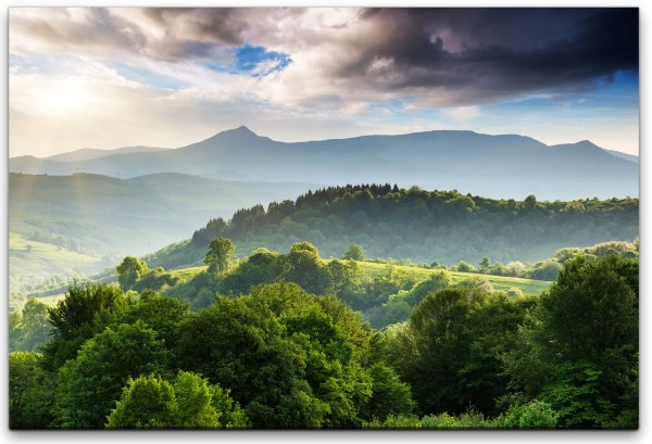 Bepflanzte Berge Wandbild in verschiedenen Größen