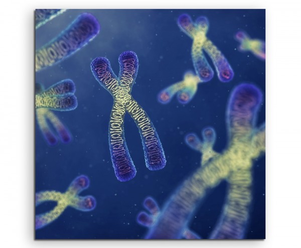 Wissenschaftliche Abbildung – Bunte Chromosomen auf Leinwand