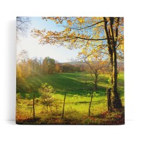 Deutsche Landschaft Wiese Bäume Sonnenschein Herbst