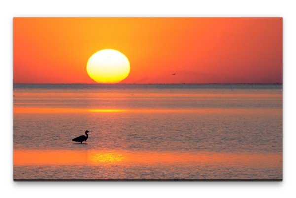 Bilder XXL Vogel im Sonnenuntergang Wandbild auf Leinwand