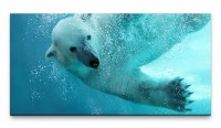Bilder XXL Eisbär schwimmt im Meer 50x100cm Wandbild auf Leinwand