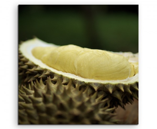 Food-Fotografie - Durianfrucht auf Leinwand