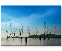 Abgestorbene Bäume im Wasser - Leinwandbild