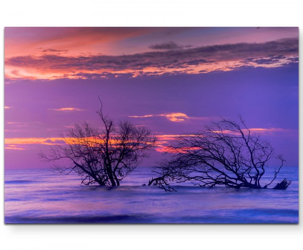 Dämmerung - toter Baum im Wasser - Leinwandbild