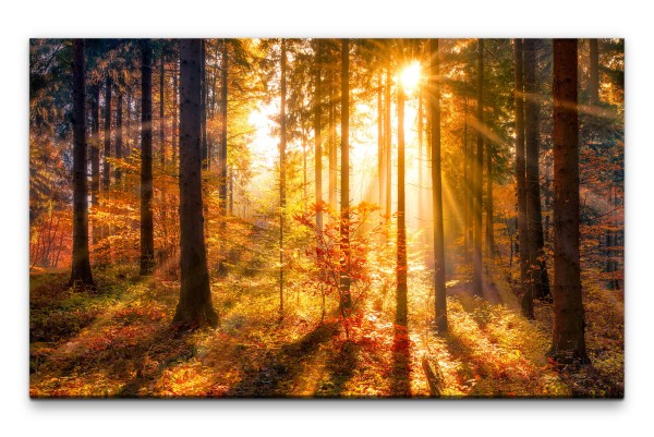 Bilder XXL Herbstwald mit Sonne Wandbild auf Leinwand