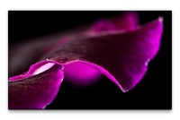 Bilder XXL Schönes Violett Wandbild auf Leinwand