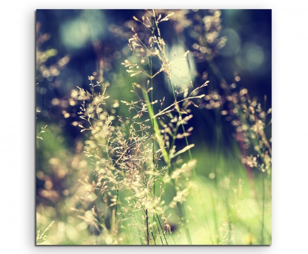 Naturfotografie – Waldwiese mit Wildgras auf Leinwand