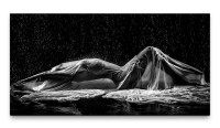 Bilder XXL Nackte Frau im Tuch 50x100cm Wandbild auf Leinwand