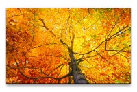 Bilder XXL Herbstlaub Wandbild auf Leinwand