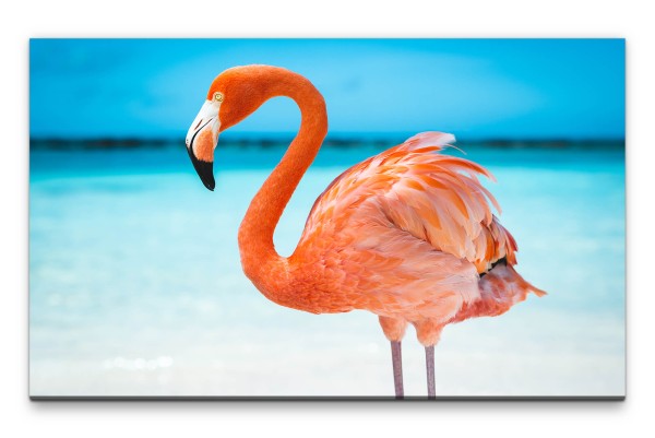 Bilder XXL Flamingo am Strand Wandbild auf Leinwand