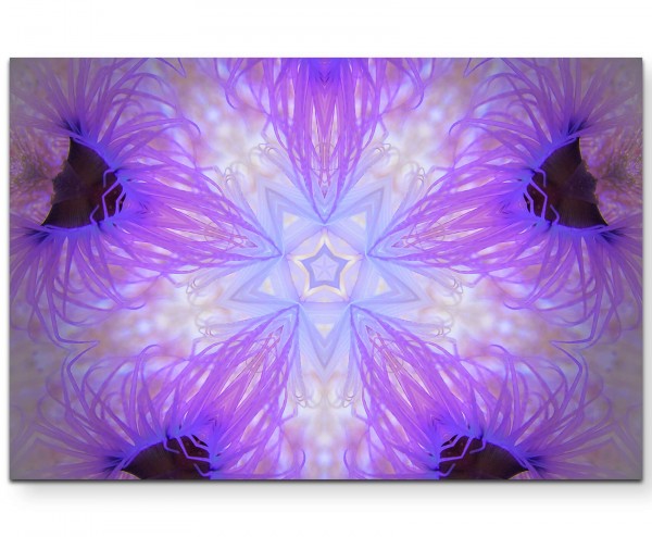 Violette Anemonen Unterwasser - Leinwandbild