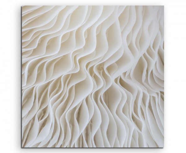 Künstlerische Fotografie Sajor-Caju Pilz auf Leinwand exklusives Wandbild moderne Fotografie für i