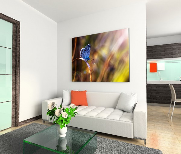120x80cm Wandbild Schmetterling Wiese Sonnenstrahlen
