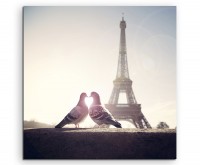 Fotografie Turteltauben vor dem Eiffelturm Paris auf Leinwand exklusives Wandbild moderne Fotograf