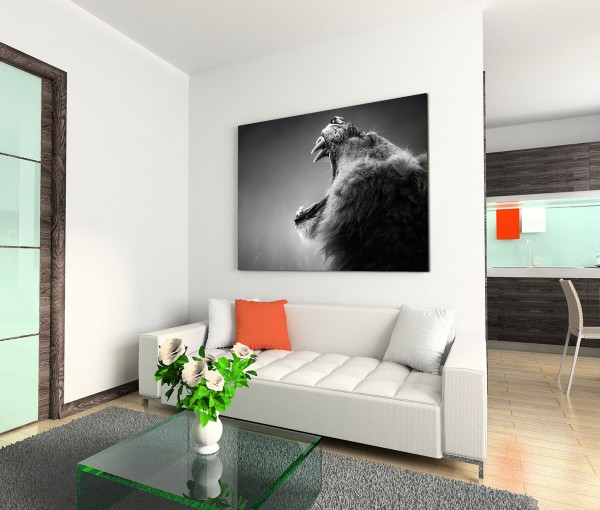 120x80cm Wandbild Afrika Kruger Nationalpark Löwe Zähne