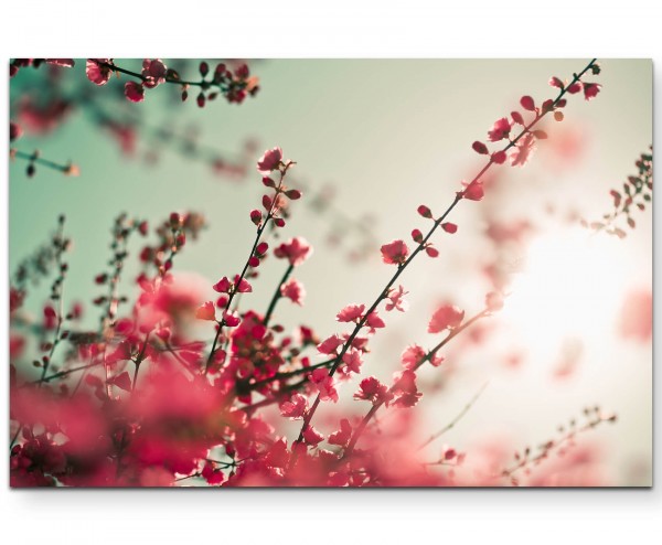 Fotografie rote asiatische Kirschblütenzweige - Leinwandbild