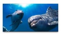Bilder XXL Delfine im Wasser 50x100cm Wandbild auf Leinwand