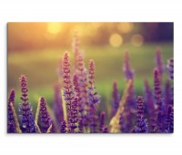 120x80cm Wandbild Blumenwiese Lavendel Sommertag vintage