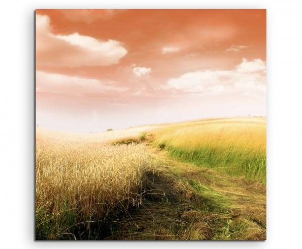 Naturfotografie – Weizenfeld und Grasfeld auf Leinwand