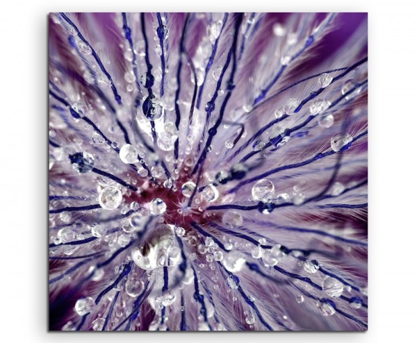 Naturfotografie – abstrakt modern chic chic dekorativ schön deko schön deko e violette blumen mit T