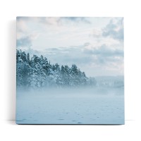 Winter Schnee Tannen Winterlandschaft Nebel
