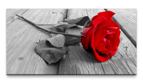 Bilder XXL rote Rose auf Holzboden schwarz-weiss 50x100cm Wandbild auf Leinwand