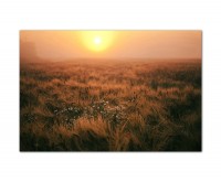120x80cm Feld Sonnenuntergang Landschaft