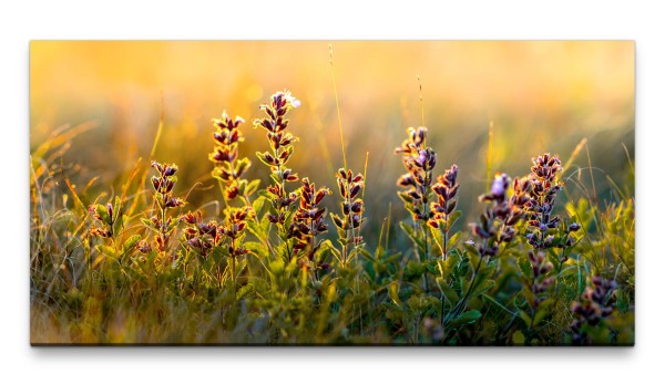 Bilder XXL wilde Blumen 50x100cm Wandbild auf Leinwand