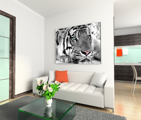 120x80cm Wandbild Tiger Kopf Gesicht Nahaufnahme