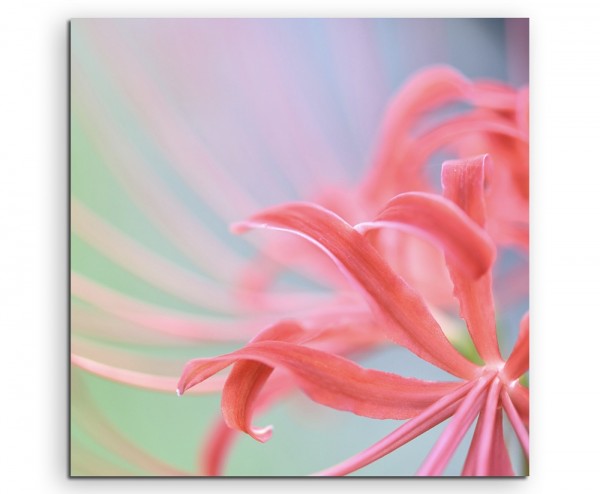 Naturfotografie Orange Blüte mit grünem Hintergrund auf Leinwand exklusives Wandbild moderne Fotog